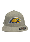 Beavers Basecap Flexfit Grey